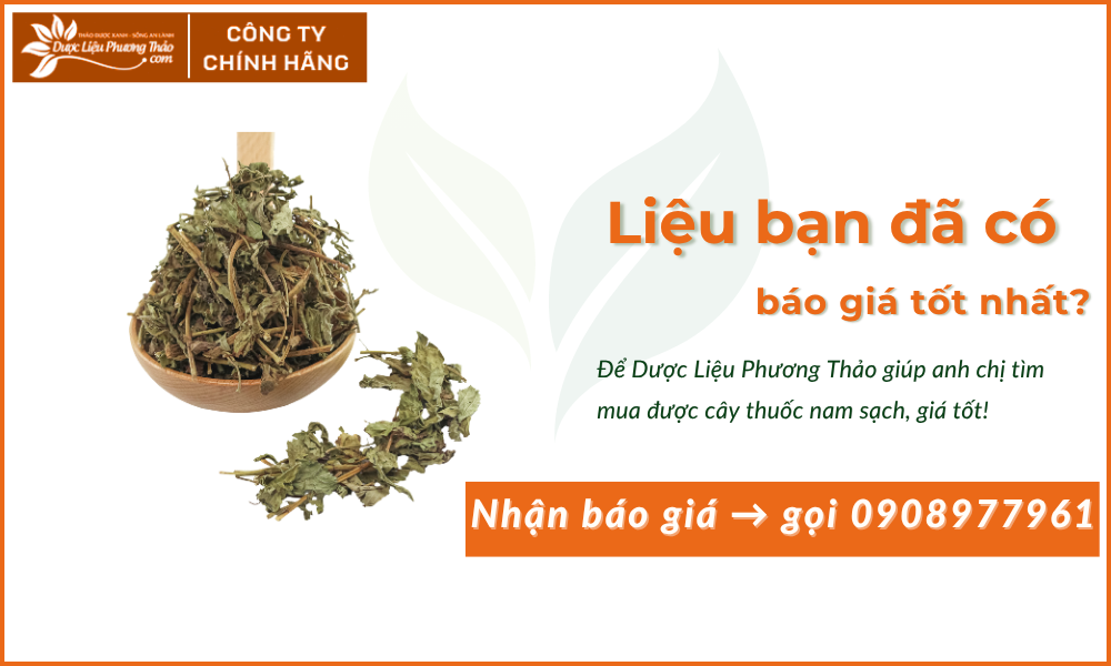 cỏ ngọt