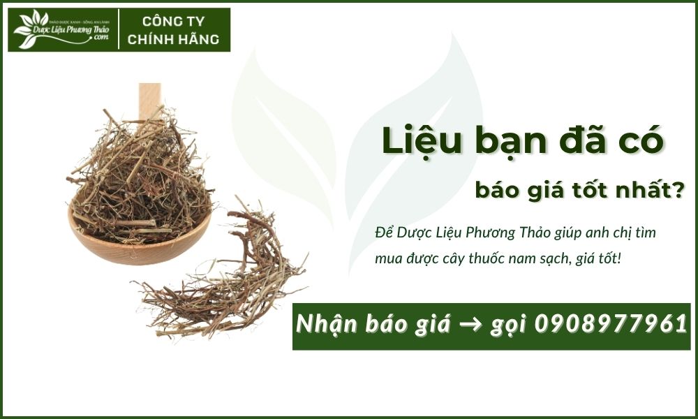 báo giá diệp hạ châu