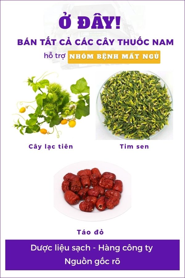 Hỗ trợ giấc ngủ