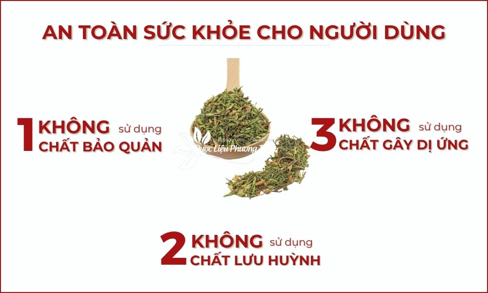 Hoa đu đủ đực