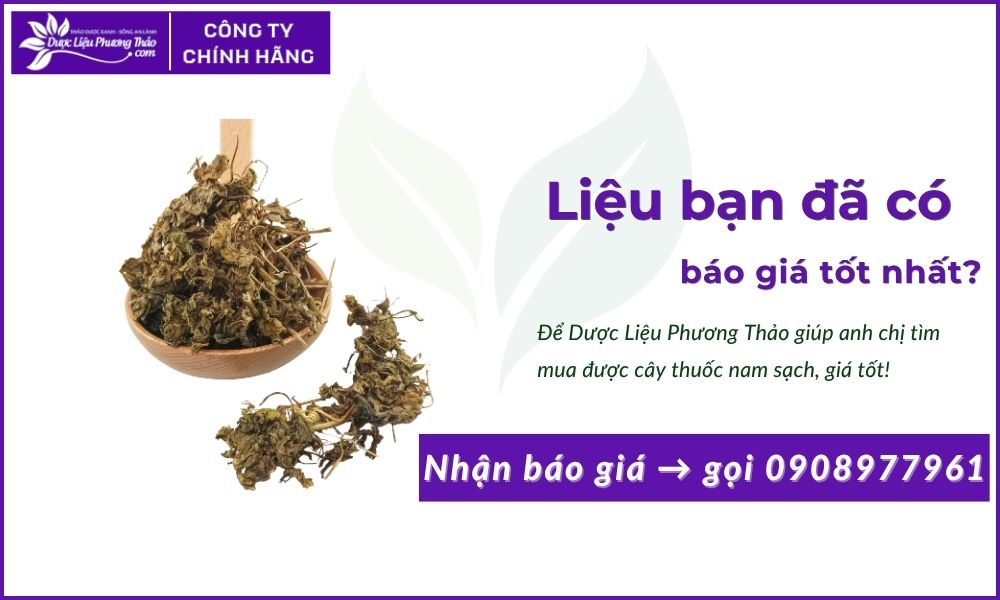 Cây Lạc Tiên