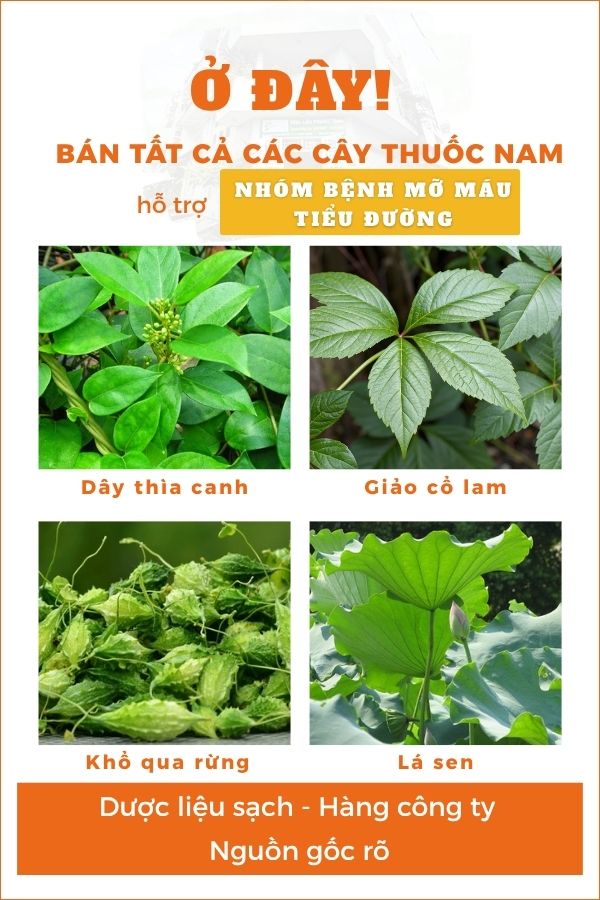 Nhóm Mỡ Máu & Tiểu Đường