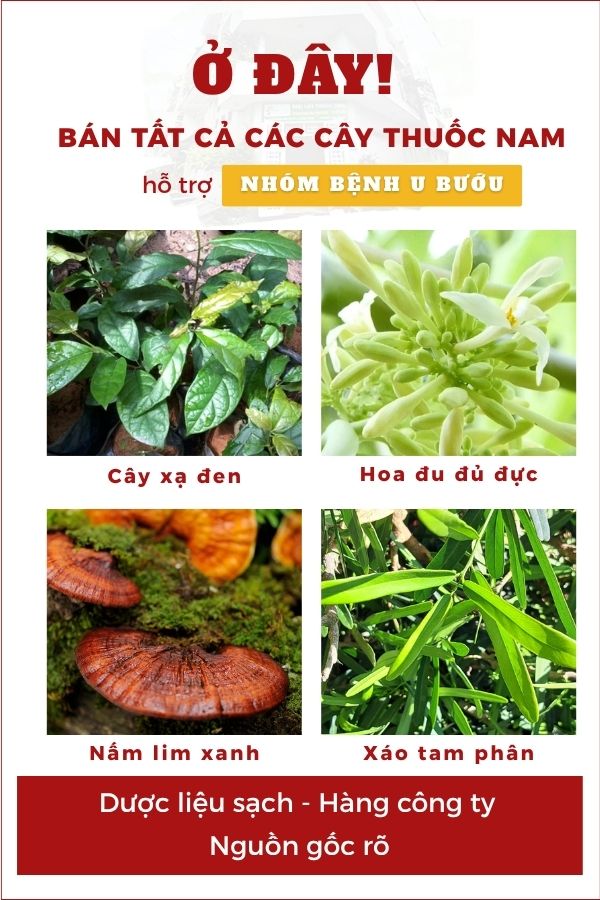 Nhóm bệnh U Bướu