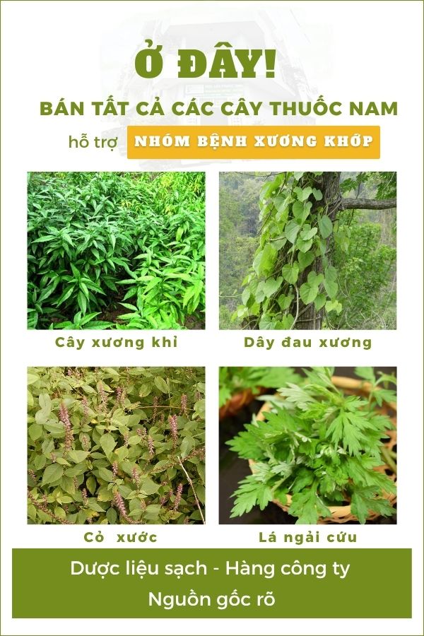 Nhóm bệnh xương khớp