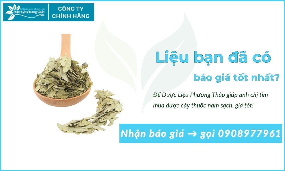 Phan Tả Diệp