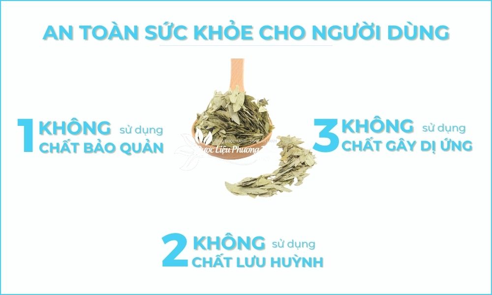 Phan Tả Diệp