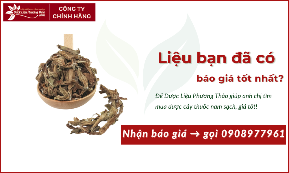 trinh nữ hoàng cung