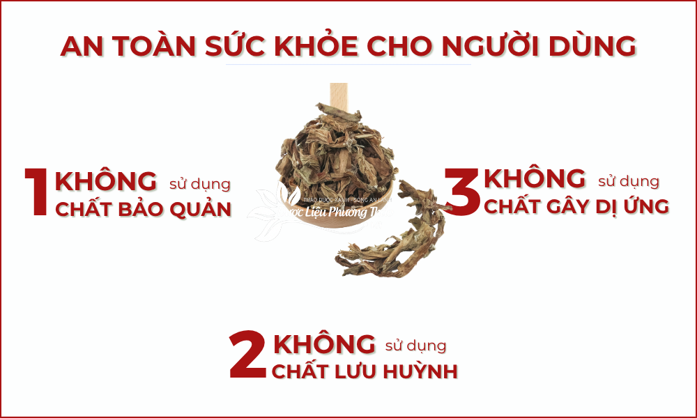 trinh nữ hoàng cung